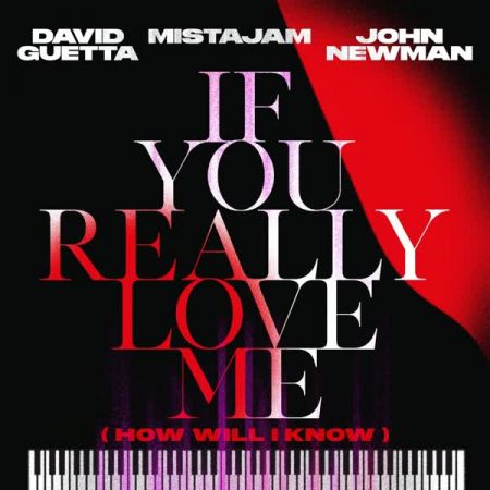David Guetta If You Really Love Me